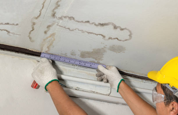 Reliable Water Damage contractor in Sunol, CA by Water Damage Irwin